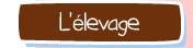 Elevage